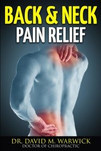back and neck pain relief cover