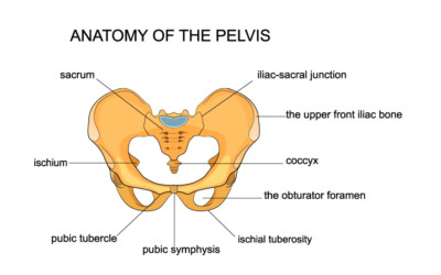 How Can the Sacroiliac Joint Cause Low Back Pain?