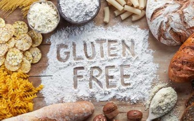 Do Gluten Free Diets Work? Lacey Chiropractor with Some Help