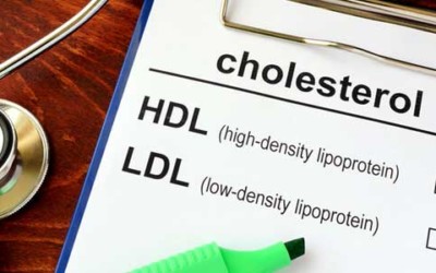 Our Lacey Olympia Chiropractor Reveals Interesting Facts on Cholesterol