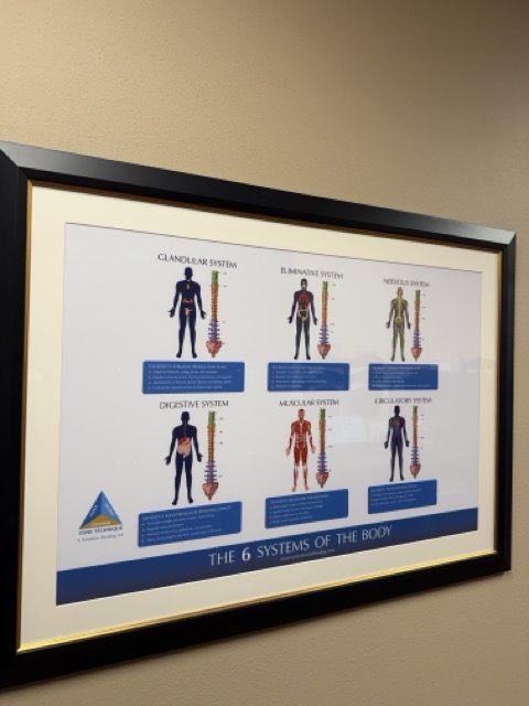 What is the Zone Technique in Chiropractic and Who Offers it?